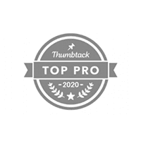 Top Pro 2020